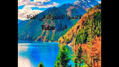 تلاوة هادئة القارئ سعيد دباح 2018