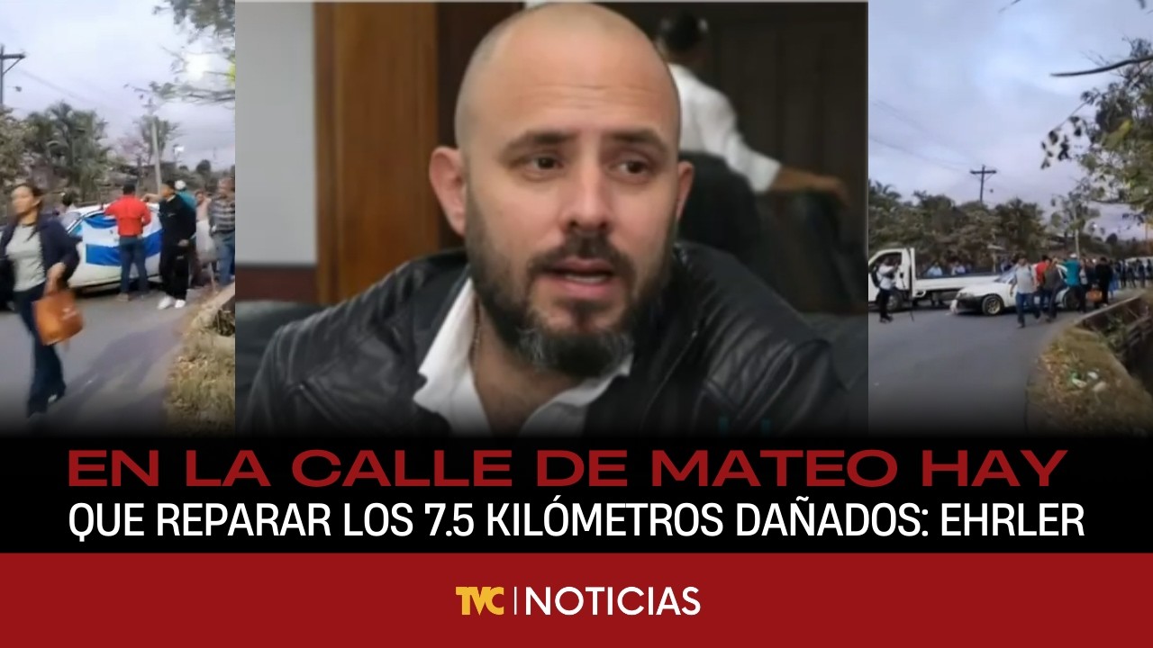 En la calle de mateo hay que reparar los 7.5 kilómetros dañados: Ehrler