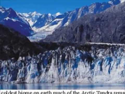 Vídeo: Diferença Entre Tundra E Deserto