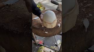 Master The Art Of Coconut Cutting In Seconds