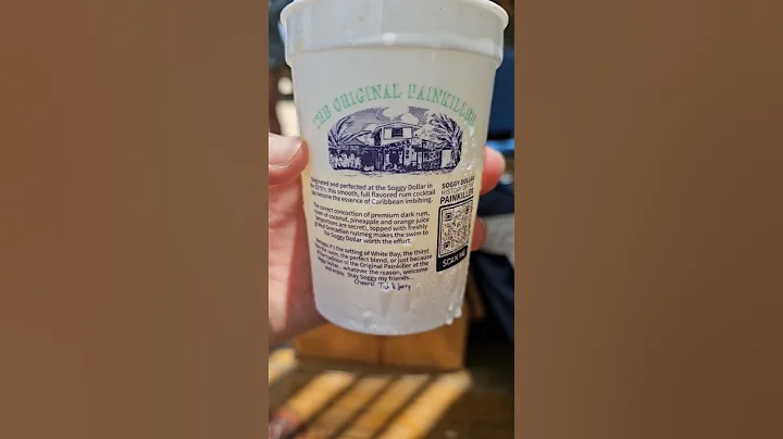 Soggy Dollar Bar in the British Virgin Islands #beachvibes #bvi #summervibes #summer #virginislands