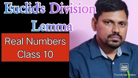 Real Numbers: Euclid