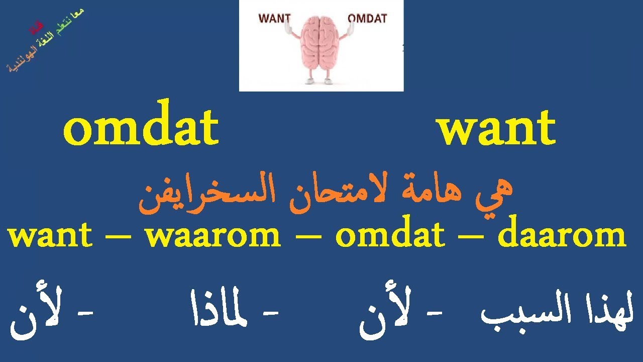 تعلم اللغة الهولندية شرح عن ادوات الرابط want وomdat