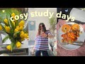 Cosy study days  recipes writing room updates and chats