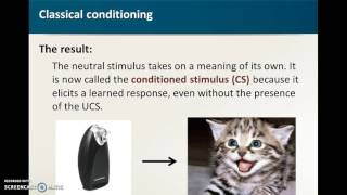 Classical Conditioning
