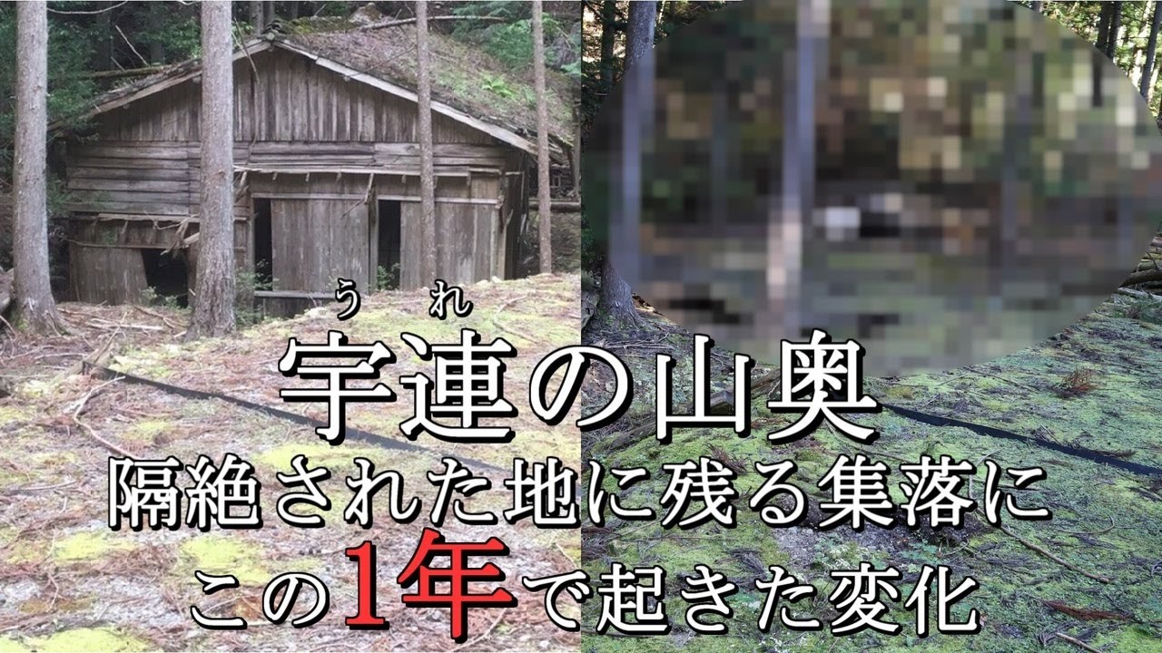 【宇連集落と神田小学校宇連分校と諏訪神社】愛知の山深く隔絶された土地で暮らした人々の痕跡を追い現在の姿をここに映し出す ダムの人造湖である鳳来湖の上流に位置する廃村 Ure Village