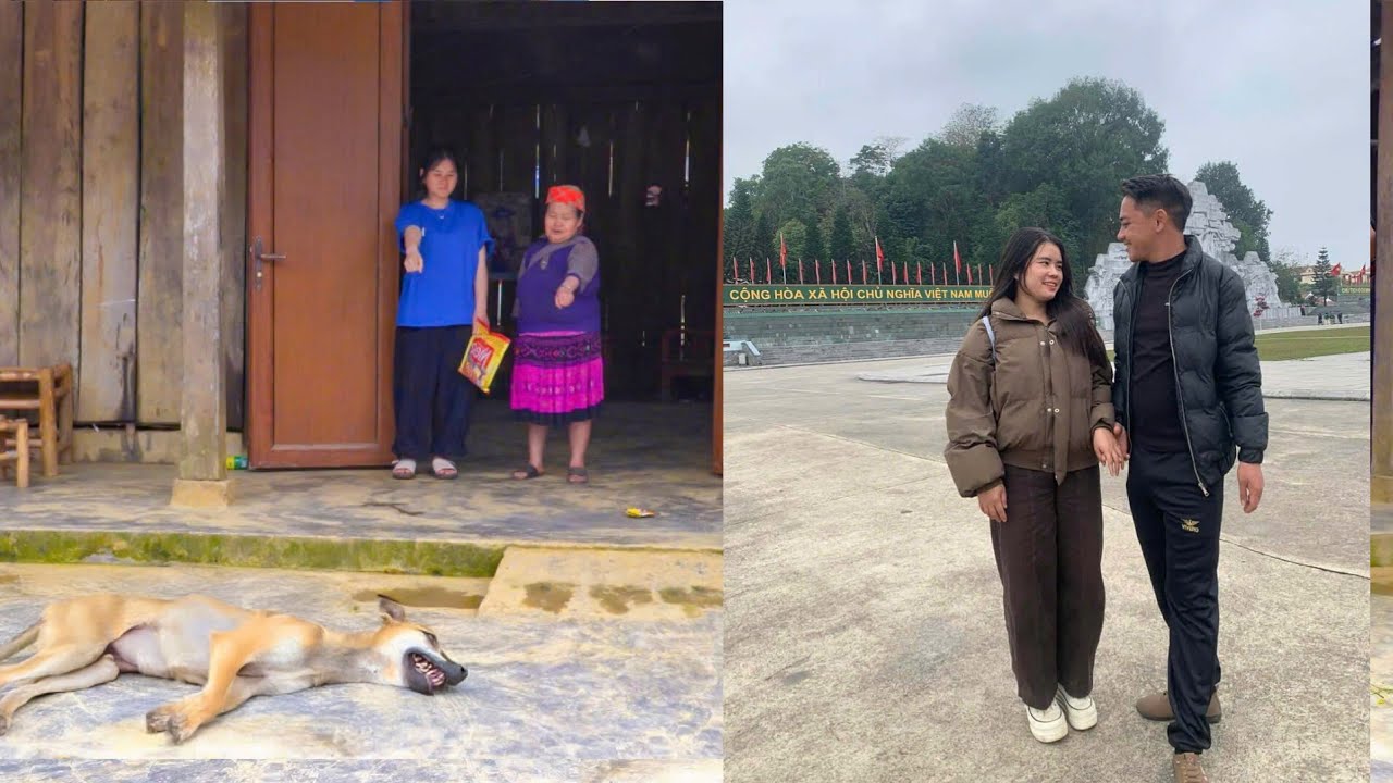 Заговор После Подарка — Знают ли Са и Лин, Что Их Ждёт?
