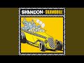 Miniature de la vidéo de la chanson Shandon