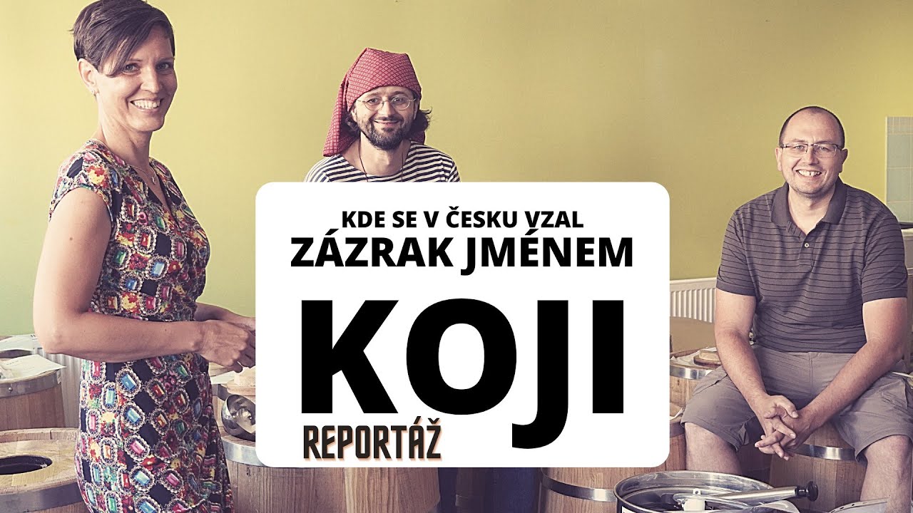 Reportáž Jíme Jinak u Kojibakers - Jak a proč v Česku vyrábí miso a další fermentované dobroty