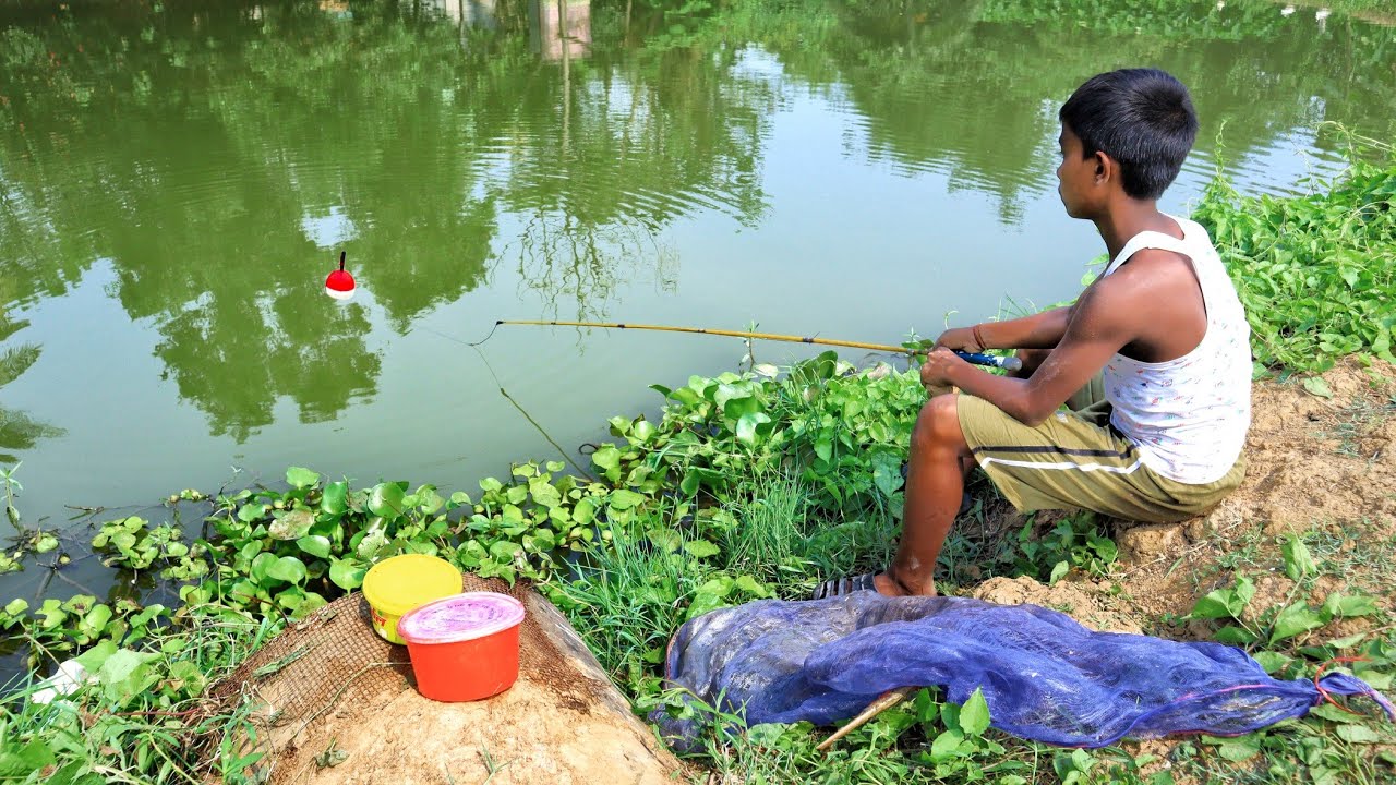 Fishing Video 🐠 🎣 || I would not have believed if I had not seen so many fish in the village Pond