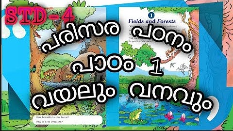 STD 4 പരിസരപഠനം  പാഠം 1 വയലും വനവും