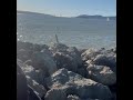 There's Treasure Inside Short-Treasure Island #treasurehunt #therestreasureinside #treasurehunting