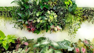 Cheapest, Easiest, Quickest Diy Living Wall Rearrangement Advantages Of Building Vertical Gardens