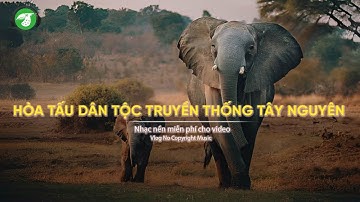 Hòa Tấu Nhạc Truyền Thống Dân Tộc - Nhạc Tây Nguyên Không Lời (P5) - AudioBay (Nhạc không bản quyền)