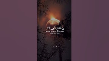 #القرآن_الكريم #اكسبلور #ماهر_المعيقلي #ياسر_الدوسري #تلاوة_خاشعة #لايك #ترند #تيك_توك #تلاوات #قرآن