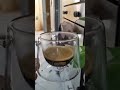 نزاع بين روفيا او دنيا سطايفية 