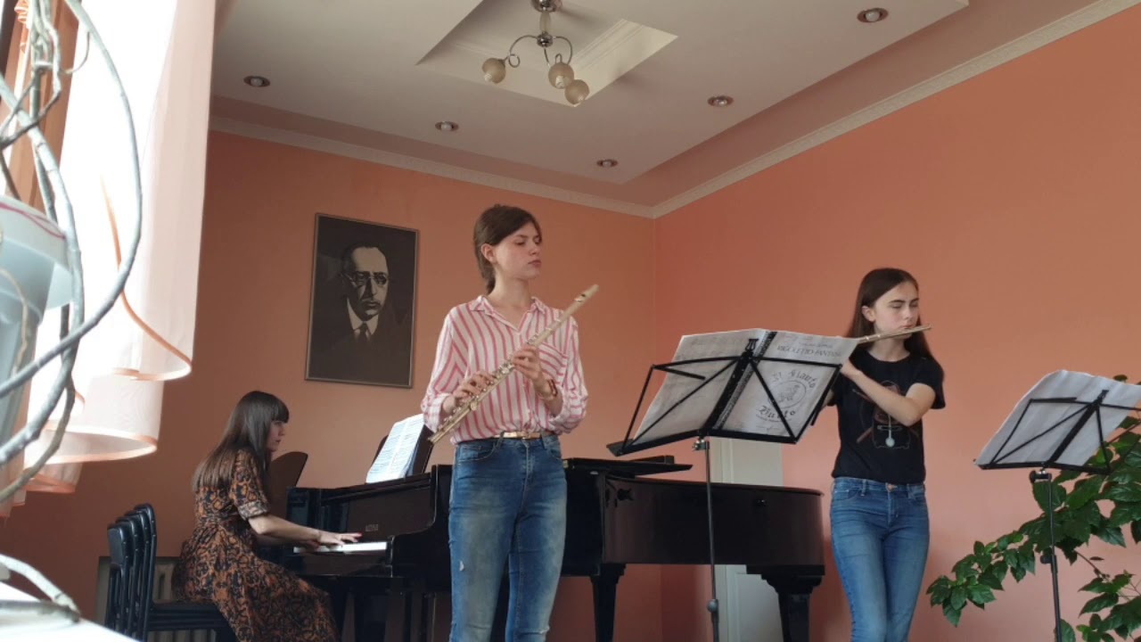 F. and K. Doppler- Fantasie 