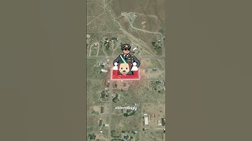 Backyard Turned Into a Nation! 🇺🇸