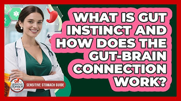What Is Gut Instinct And How Does The Gut-brain Connection Work? - Sensitive Stomach Guide