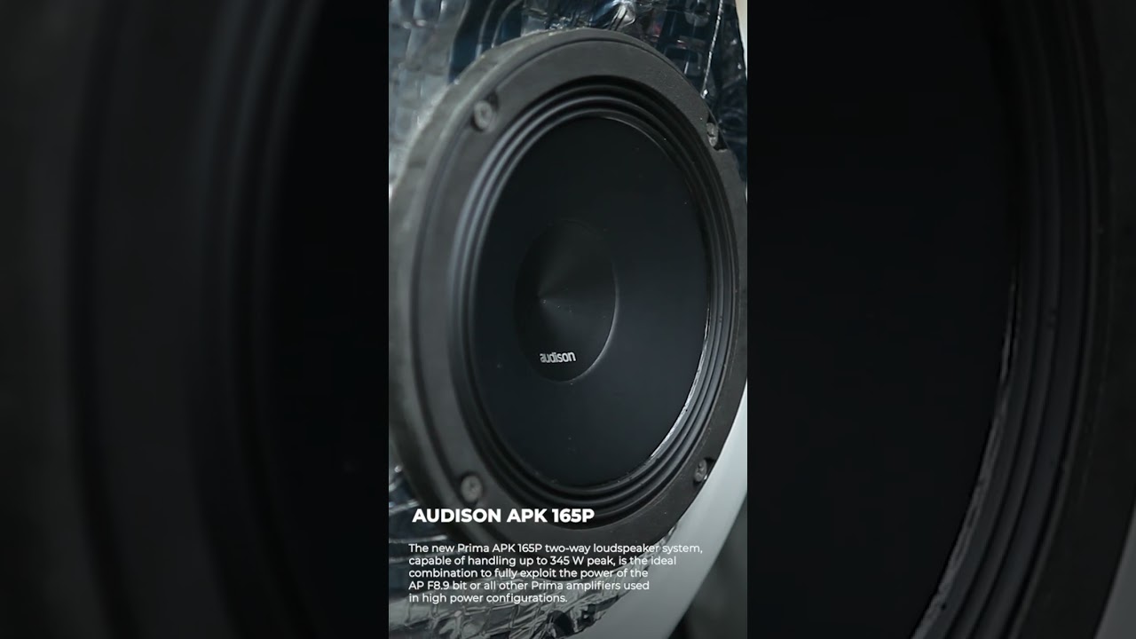 Speaker 2 Way Audison APK 165P 