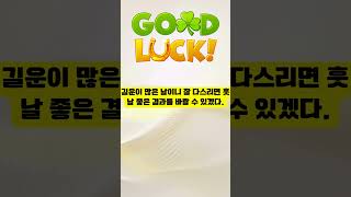 &quot;2024년3월12일 용띠 오늘의 운세&quot;