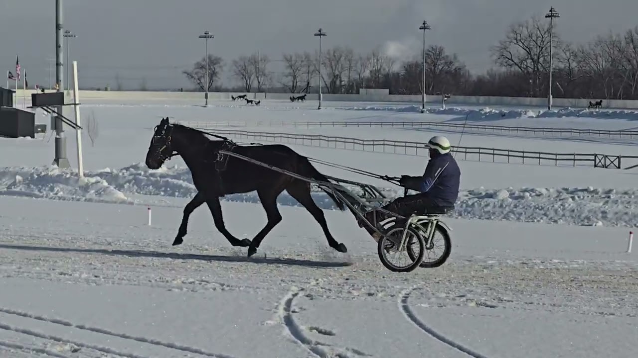 Commentary--sogoodsogoodsogoodExquis, pilot caviar, thursdsy January 29th 2026