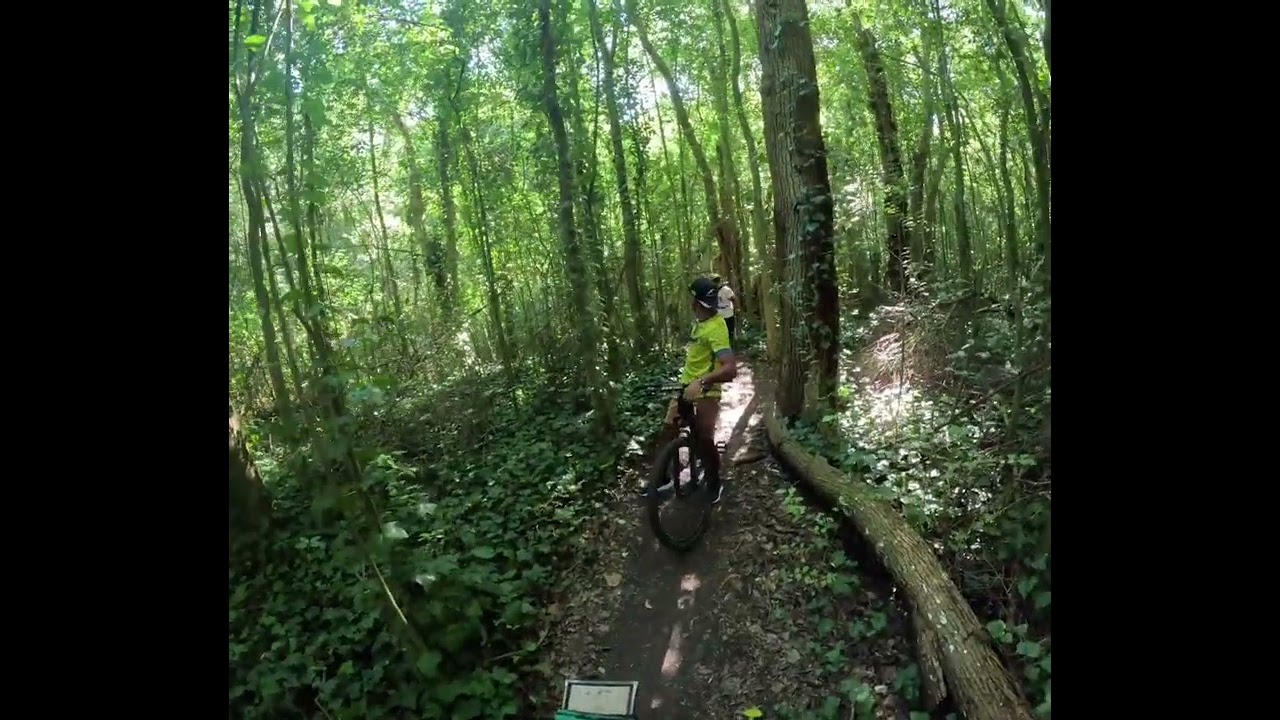 Capital por la tarde