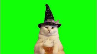 Wizard Cat drinking beer Green Screen Meme