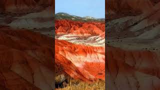 general roca rio negro #argentina #rionegro #generalroca #patagonia