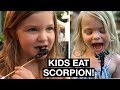 EATING SCORPIONS AND BUGS IN THAILAND | WOLRD'S BRAVEST GIRLS | Thailand Street Food