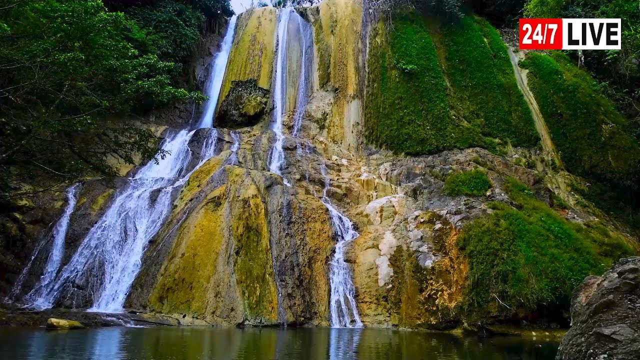 LIVE 24/7 • Waterfall in Nature | Real-Time Relaxation