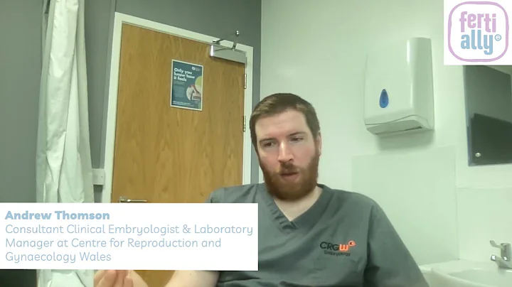 Do natural killer cells cause miscarriage?