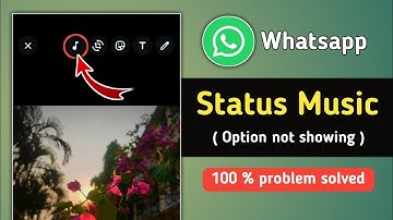 Fix Whatsapp Status Music Option not Showing Problem