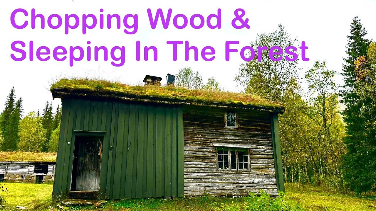 v011. Call Me A Lumberjack! Sleeping in a Cabin. Stoforshei Part 3