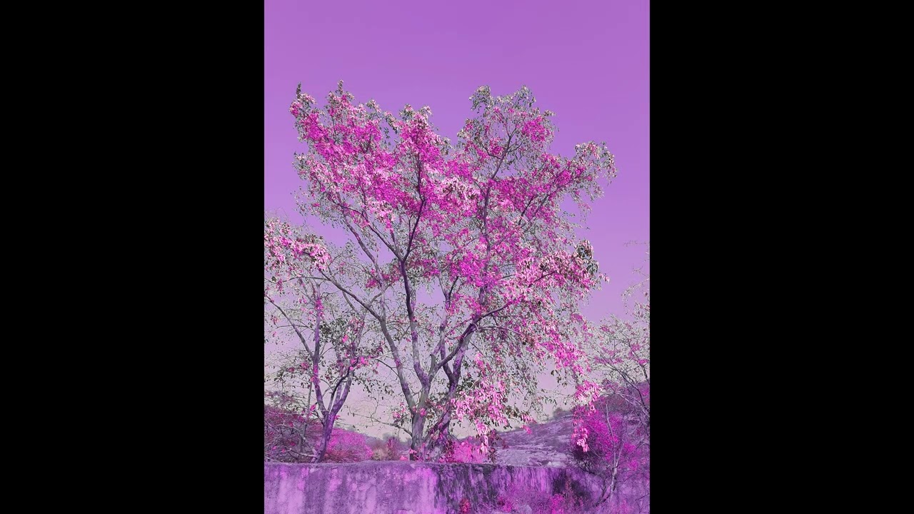 image colour corrections//@amansainiblogs4908 #shortsvideo #editingvideo
