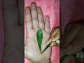 Simple latest green leaf mehandi design "Sanju" ❤name✨✨#trending #viral#funny#art#mehandi#shorts