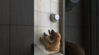 IMG 3875 IMG 3875