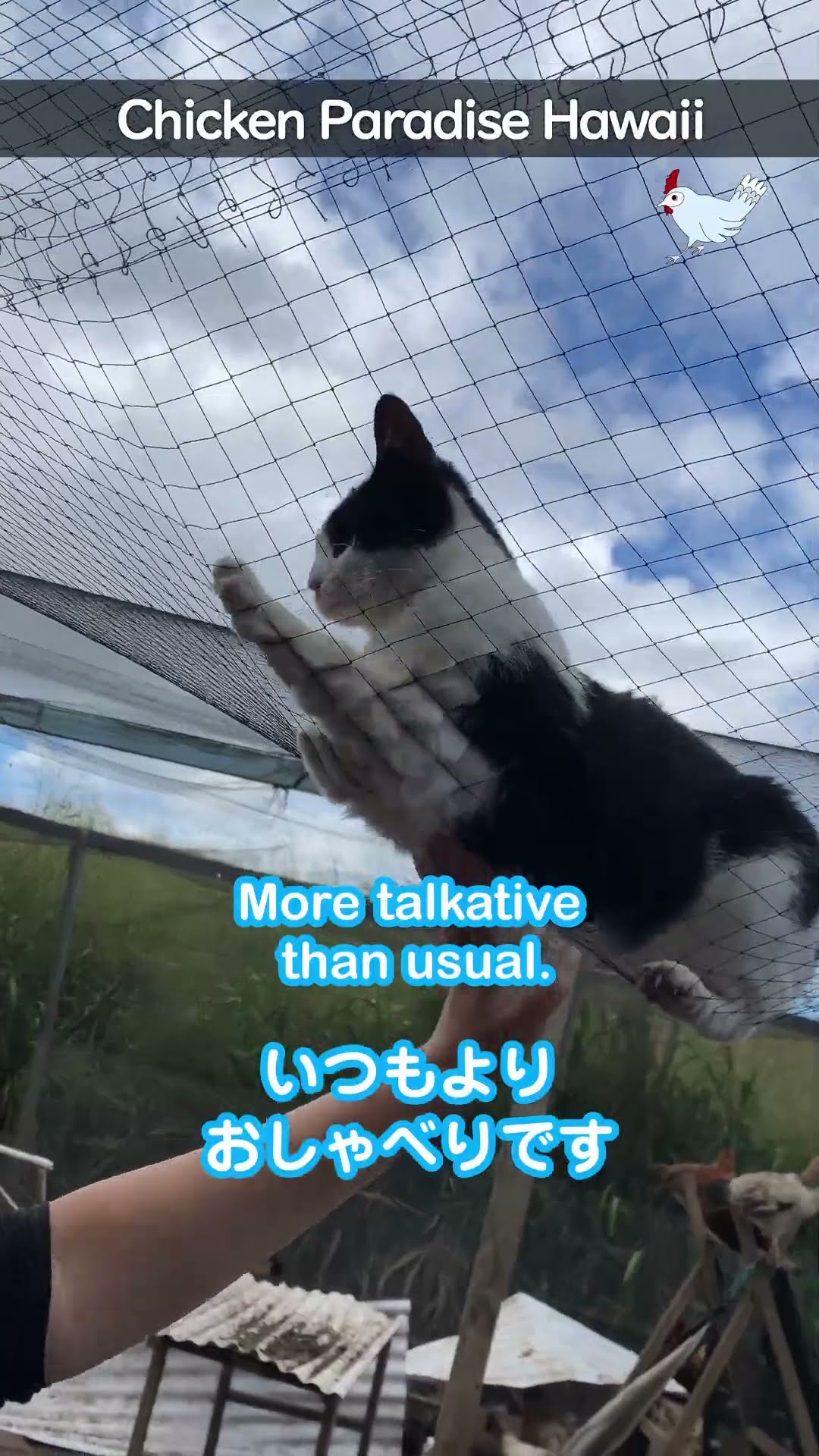 Captain Natsu, very happy