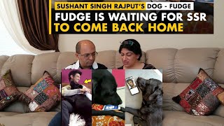 Sushant Singh Rajput Dog Fudge MISSING Him & Waiting For Him To Come Back Is Heart Breaking To See!