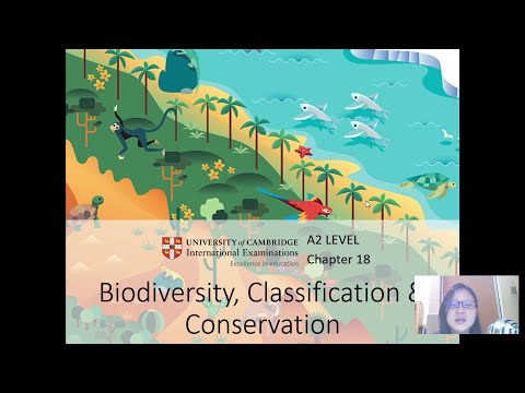 Chap 18 (Part 1) Classification | Cambridge A-Level 9700 Biology