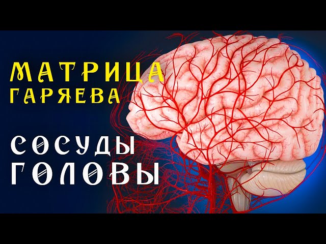 Матрица Гаряева Полная Очистка Сосудов Головы ☀️ Квантовое.