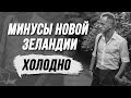 Субтропики? Нет, не слышали. Как живут местные и эмигранты в Новой Зеландии.