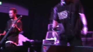 Suns Owl - Recharged