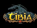 Tibia Lobera pk 2024 Insane Team