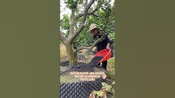 Coconut shell charcoal making machine#charcoalpowder#pyrolysis#carbonization#furnace#charcoalmachine