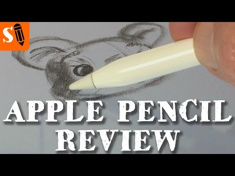Apple Pencil Drawing Review - iPad Pro 12 9 inch After 1 Year