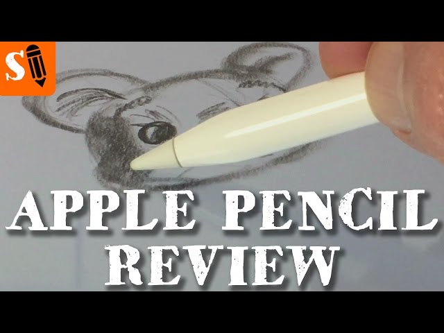 Apple Pencil Drawing Review - iPad Pro 12.9 inch After 1 Year