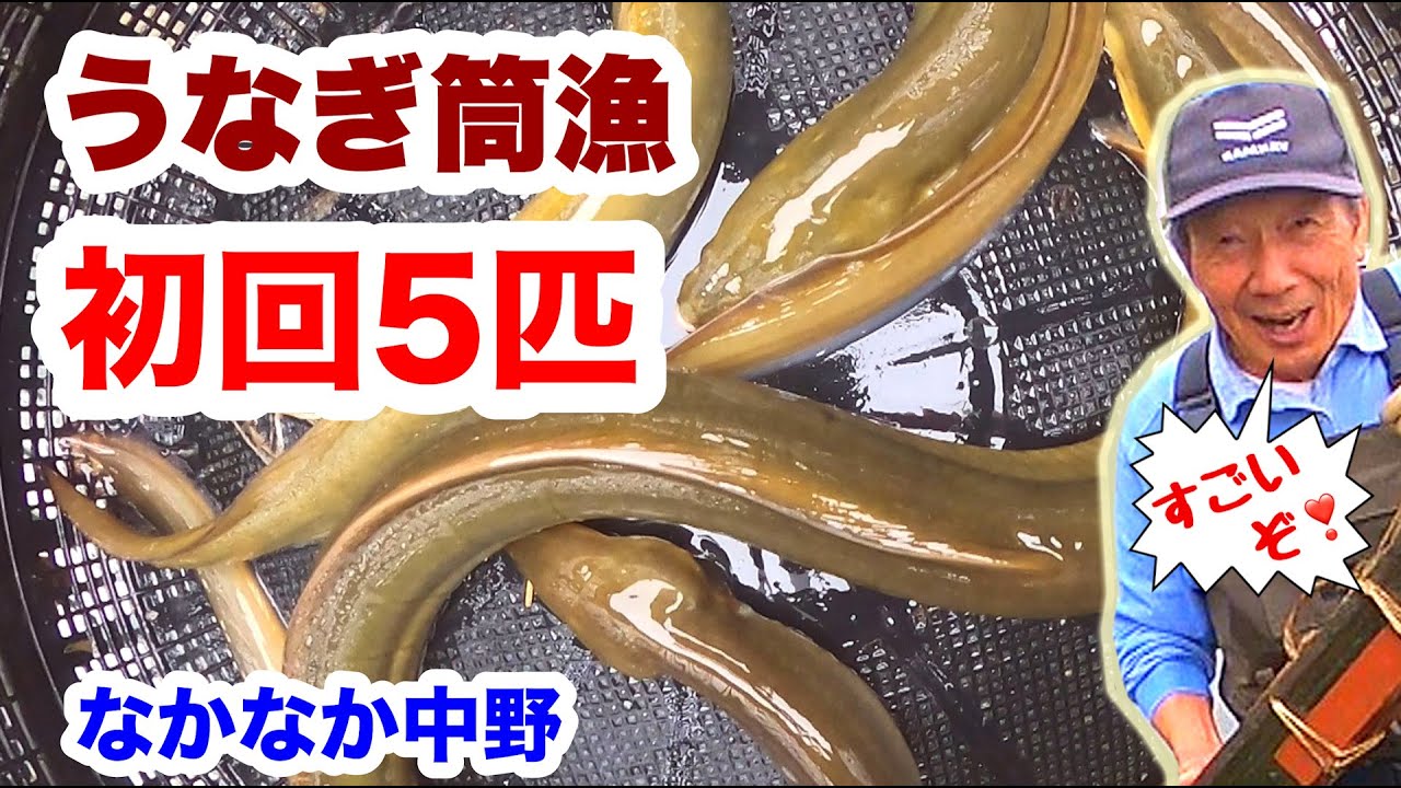 「鰻掻き」鰻取り道具。霞ヶ浦で昔，使われていた鉄製漁具。長い竿に括って使用。 アンティーク雑貨
