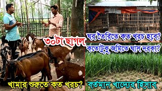 ছাগলের খামার-বর্তমান ছাগলের খাদ্যের খরচ কত? | ছাগলের ঘর তৈরিতে কত খরচ? | শুরুতে ছাগলে কত টাকা লাগবে