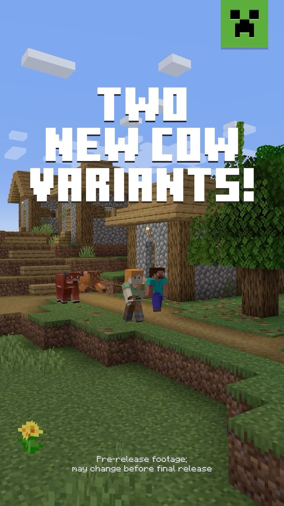 NEW COW VARIANTS ALERT!